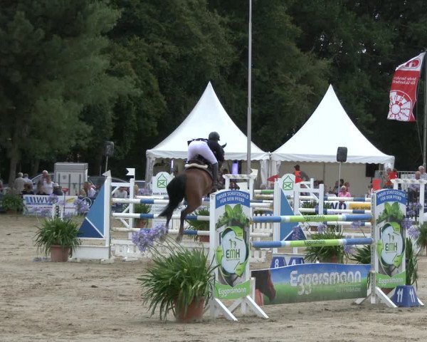 Reitturnier Waltrop 2019