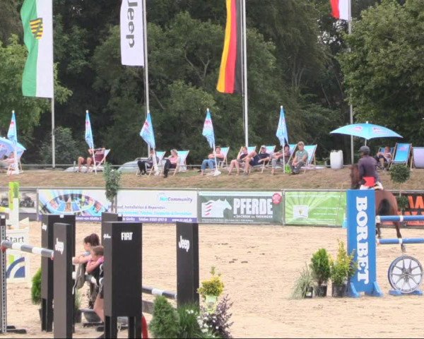 Reitturnier Görlitz 2019