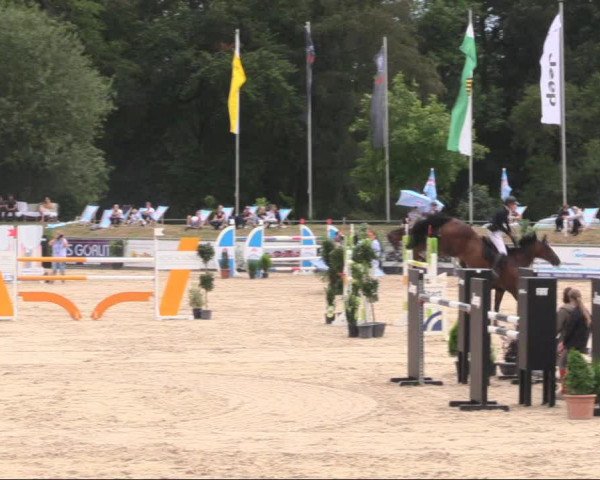 Reitturnier Görlitz 2019
