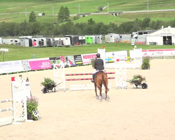 Reitturnier Zuoz 2019