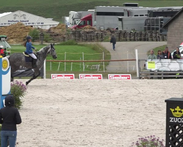 Reitturnier Zuoz 2019