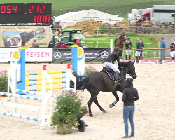 Reitturnier Zuoz 2019