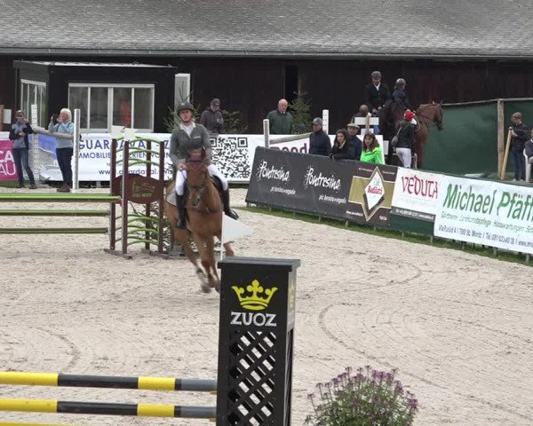 Reitturnier Zuoz 2019