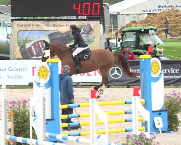 Reitturnier Zuoz 2019