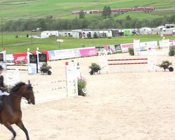 Reitturnier Zuoz 2019