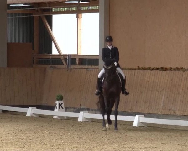 Reitturnier Grafenrheinfeld 2019