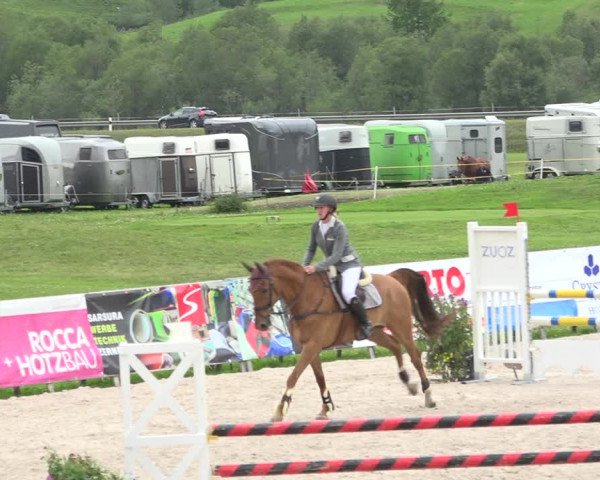 Reitturnier Zuoz 2019