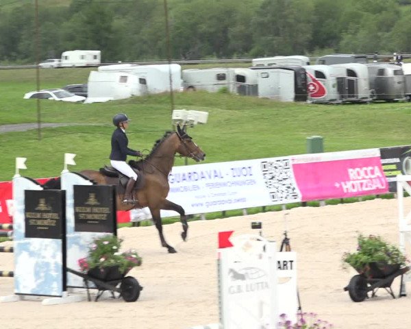 Reitturnier Zuoz 2019