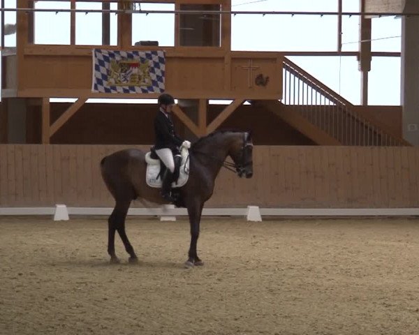 Reitturnier Grafenrheinfeld 2019