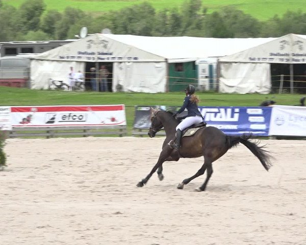Reitturnier Zuoz 2019