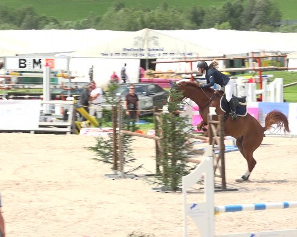 Reitturnier Zuoz 2019