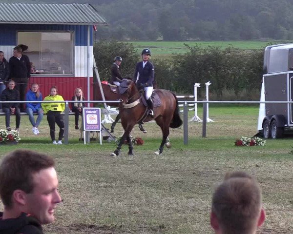 Reitturnier Behrendorf 2019