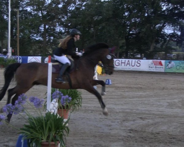 Reitturnier Waltrop 2019