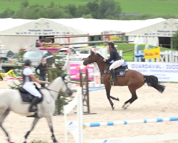 Reitturnier Zuoz 2019