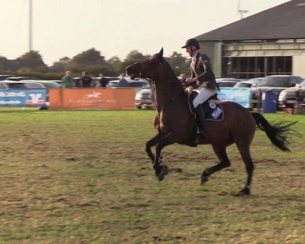 Reitturnier Behrendorf 2019