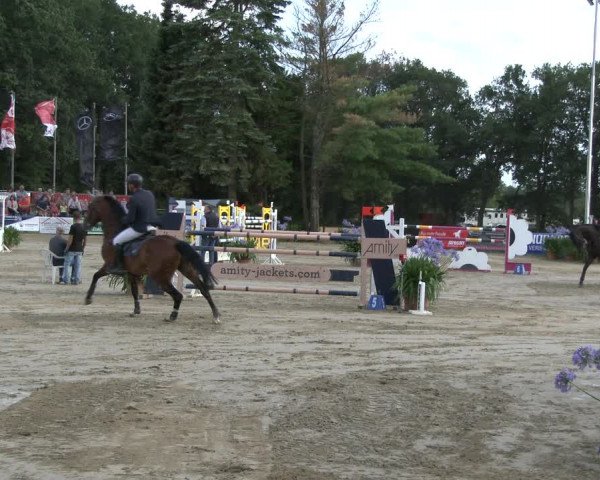 Reitturnier Waltrop 2019