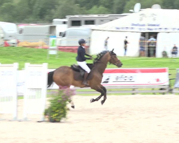 Reitturnier Zuoz 2019