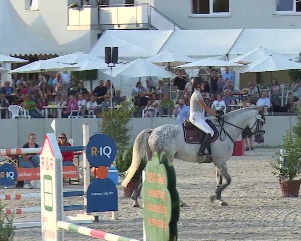 Reitturnier Grafenrheinfeld 2019
