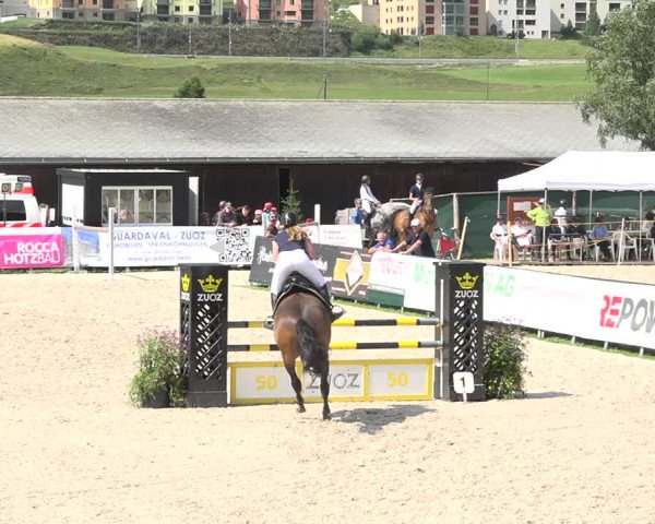 Reitturnier Zuoz 2019