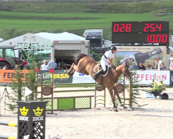 Reitturnier Zuoz 2019