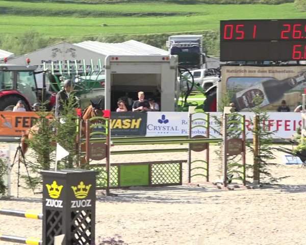 Reitturnier Zuoz 2019