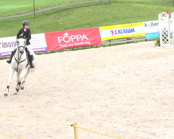 Reitturnier Zuoz 2019