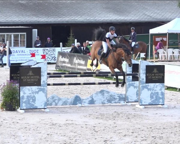 Reitturnier Zuoz 2019