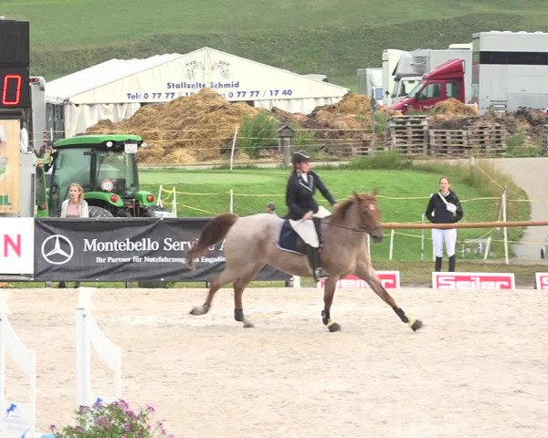 Reitturnier Zuoz 2019
