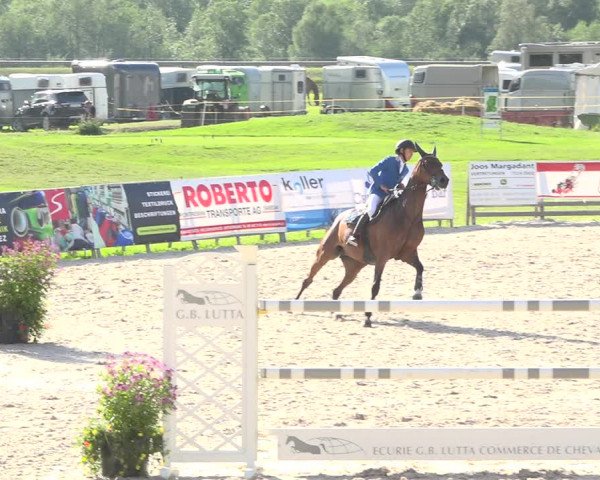 Reitturnier Zuoz 2019