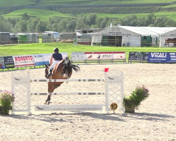 Reitturnier Zuoz 2019