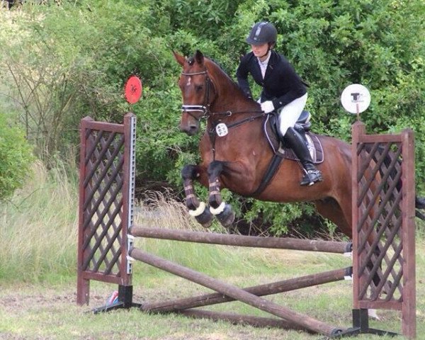 jumper Levis 57 (Oldenburg, 2009, from Blue Hors Leredo)