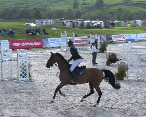 Reitturnier Zuoz 2019