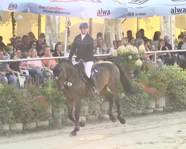 Reitturnier Oberderdingen 2019