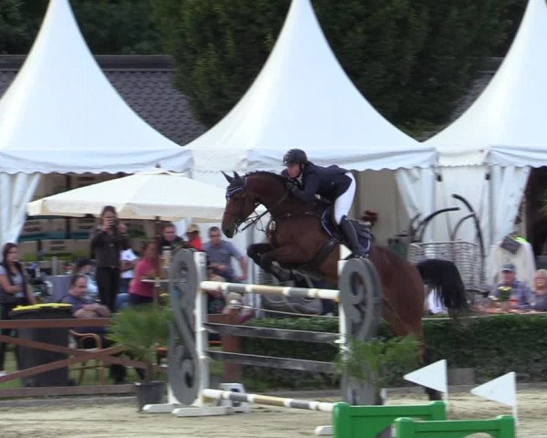 Equus Colonius - Reitanlage Brüse Köln 2021