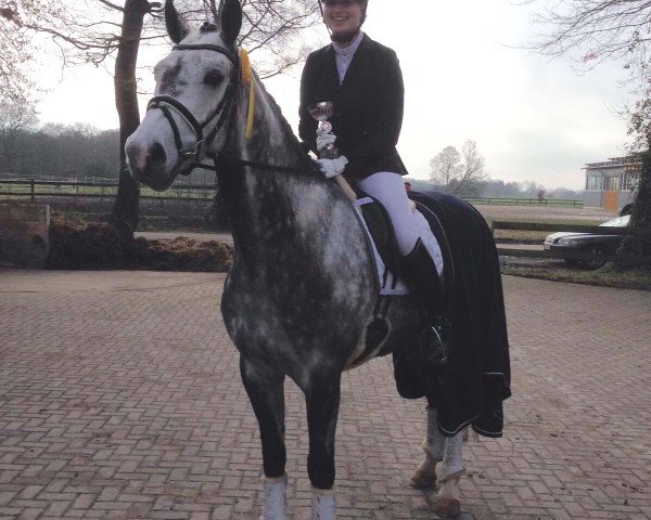 dressage horse Royalty Silver (Hanoverian, 2010, from Royal Classic I)