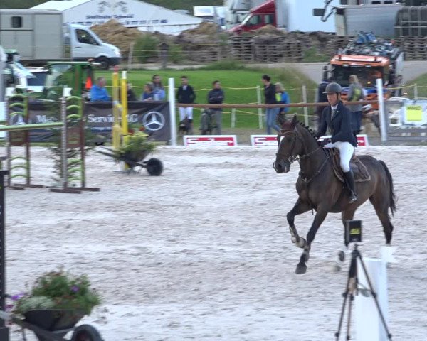 Reitturnier Zuoz 2019