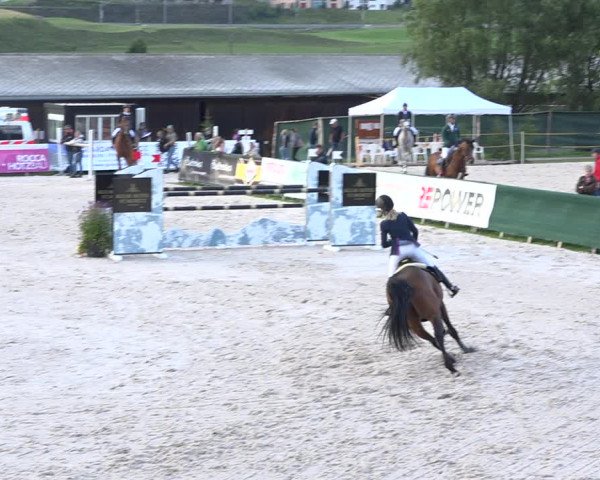 Reitturnier Zuoz 2019