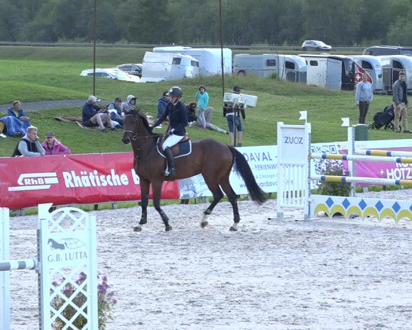 Reitturnier Zuoz 2019