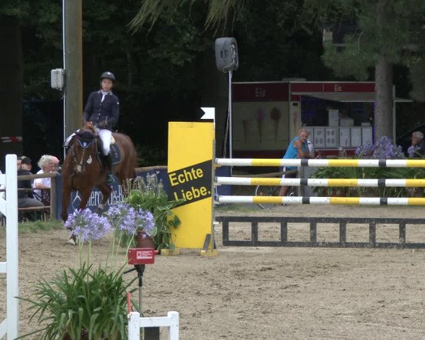 Reitturnier Waltrop 2019