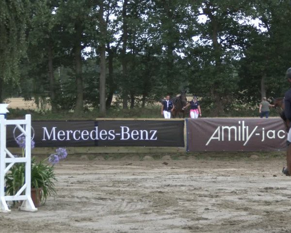 Reitturnier Waltrop 2019