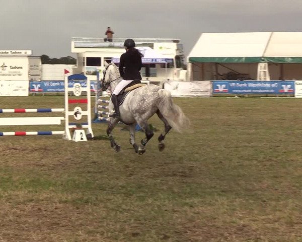 Reitturnier Behrendorf 2019