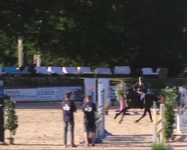 Reitturnier Görlitz 2019