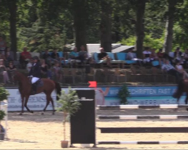 Reitturnier Görlitz 2019