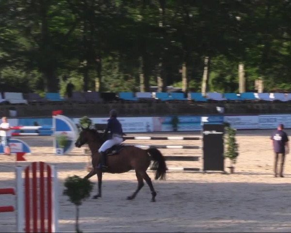 Reitturnier Görlitz 2019