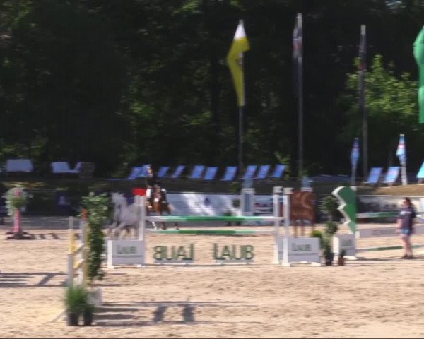 Reitturnier Görlitz 2019