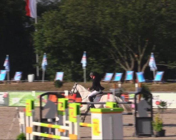 Reitturnier Görlitz 2019
