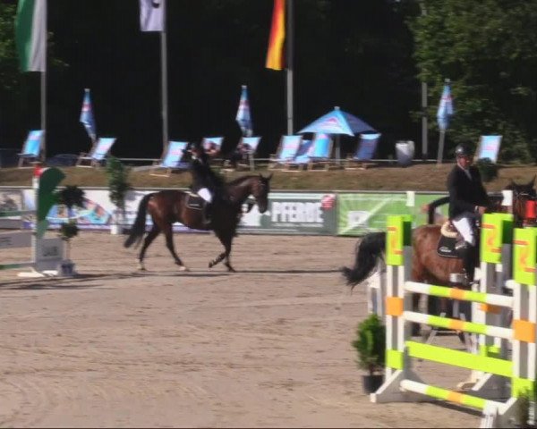 Reitturnier Görlitz 2019