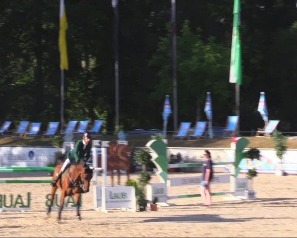 Reitturnier Görlitz 2019