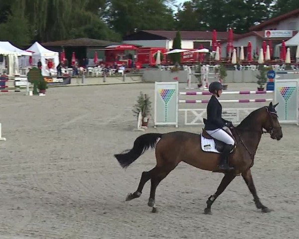 Reitturnier Grafenrheinfeld 2019