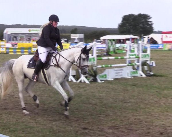 Reitturnier Behrendorf 2019